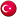 Türkçe